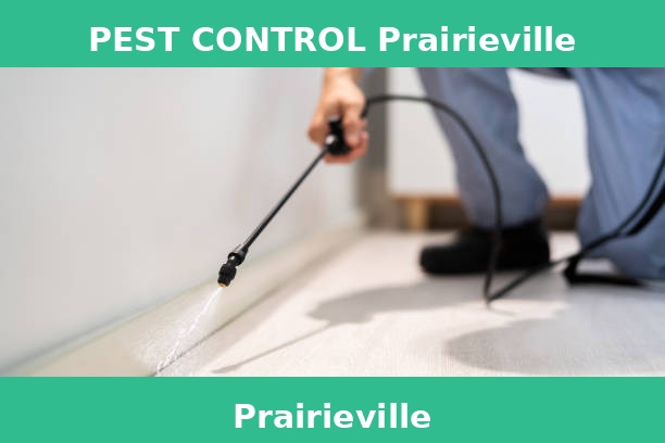 PEST CONTROL Prairieville